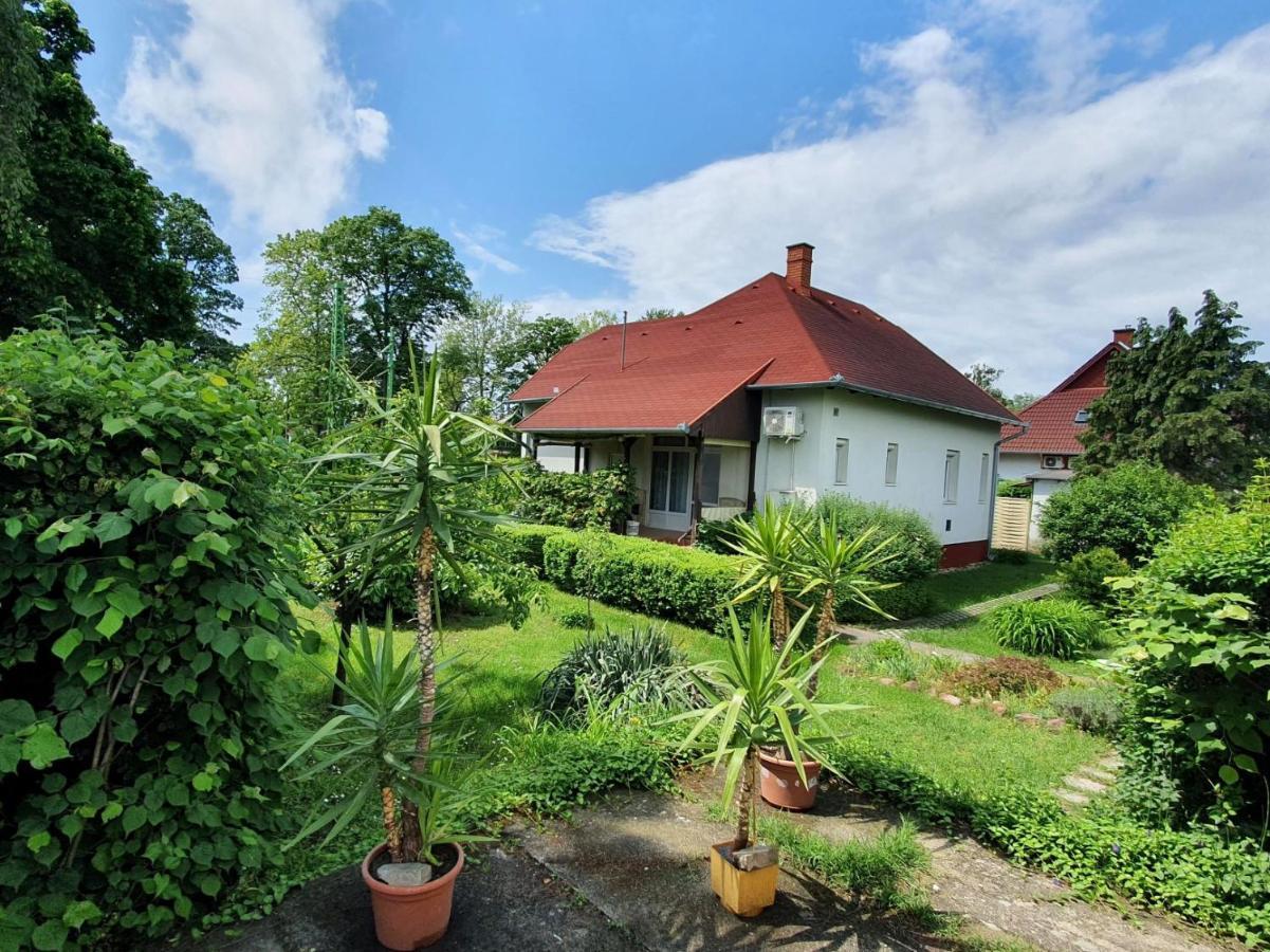 Fagreci Villa Balatonmariafurdo Ngoại thất bức ảnh